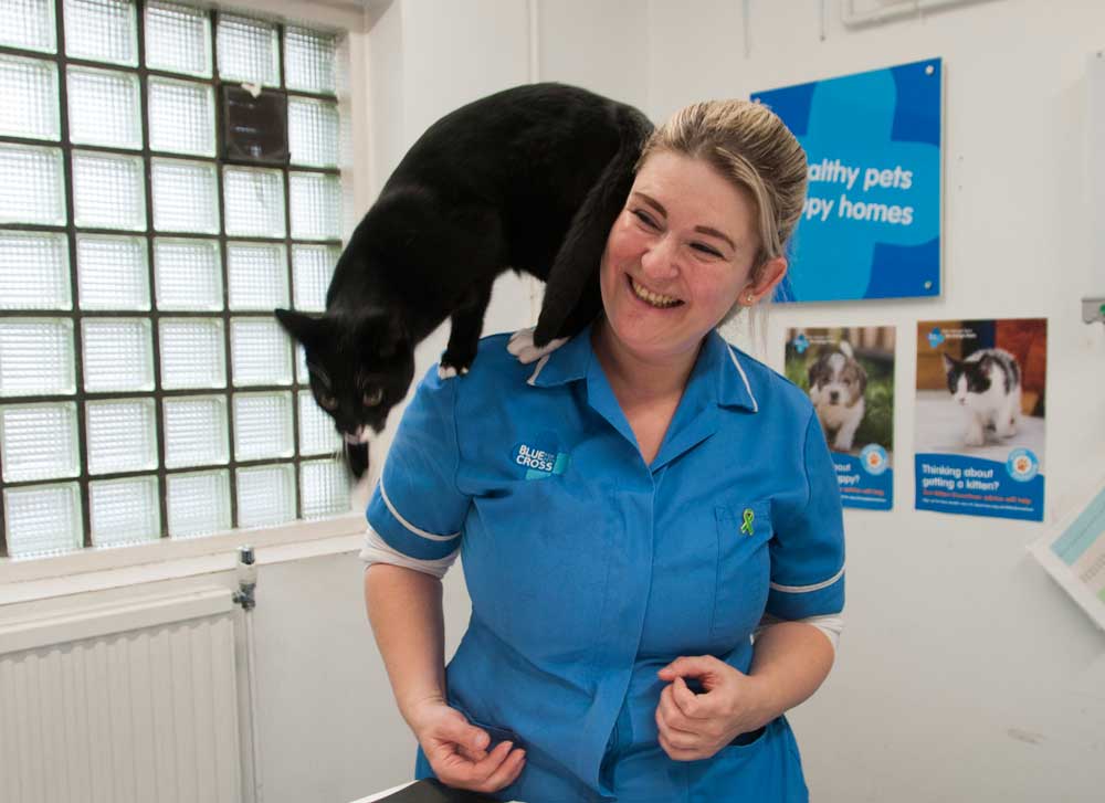 Blue Cross Hospital Hammersmith: Passionate About Pets