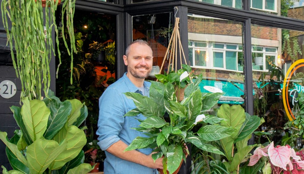 Chiswick Plant Shop: Urban Tropicana – The Plant Shop – Exploring W4’s Houseplant Jungle
