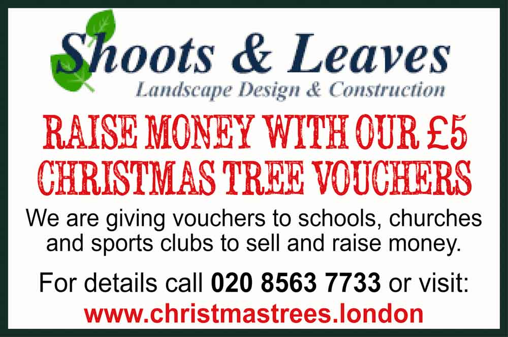 Shoots and Leaves: raise money with our £5 Christmas tree vouchers