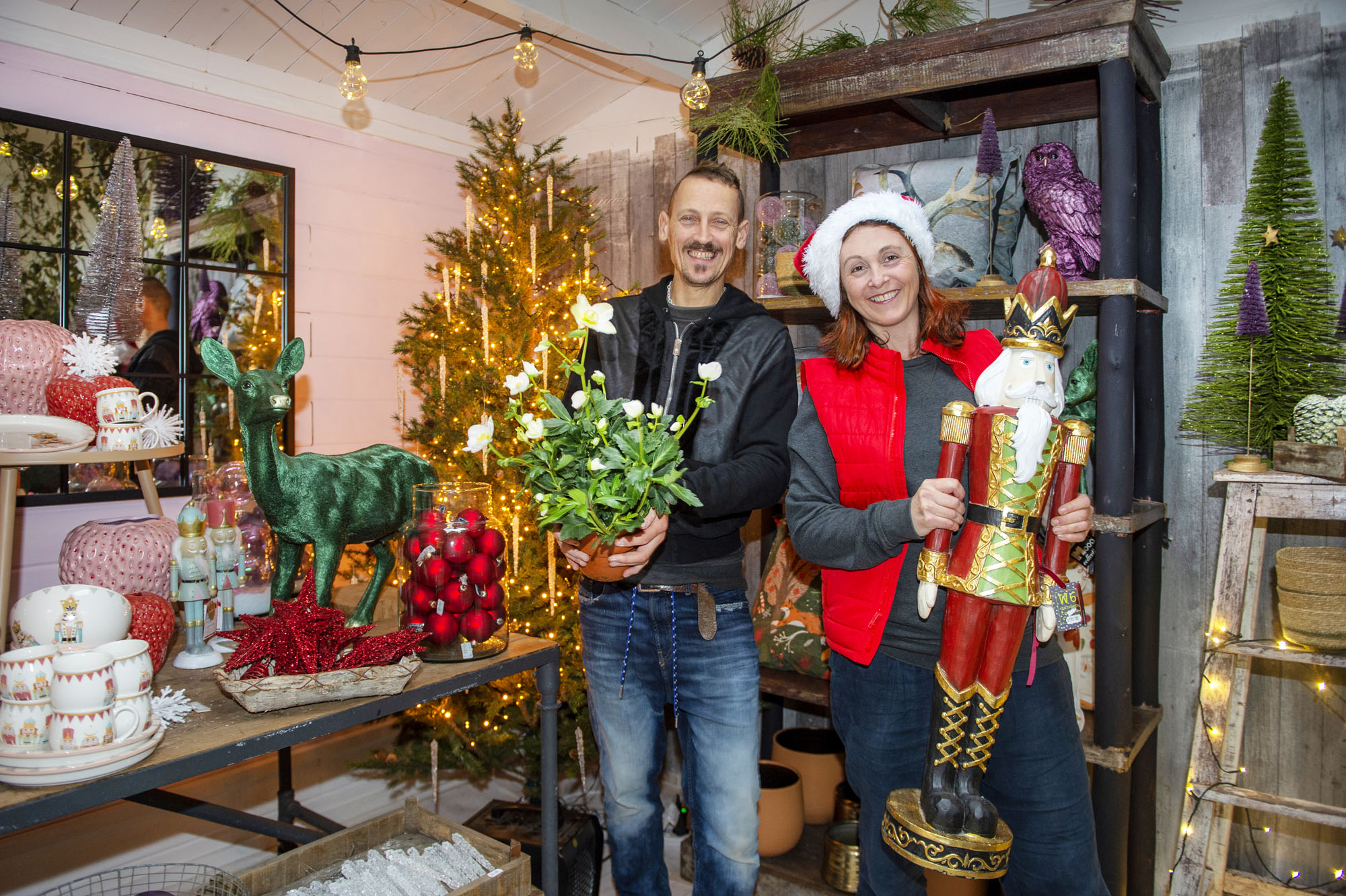 W6 Garden Centre and Café: Celebrate A Magical Green Christmas