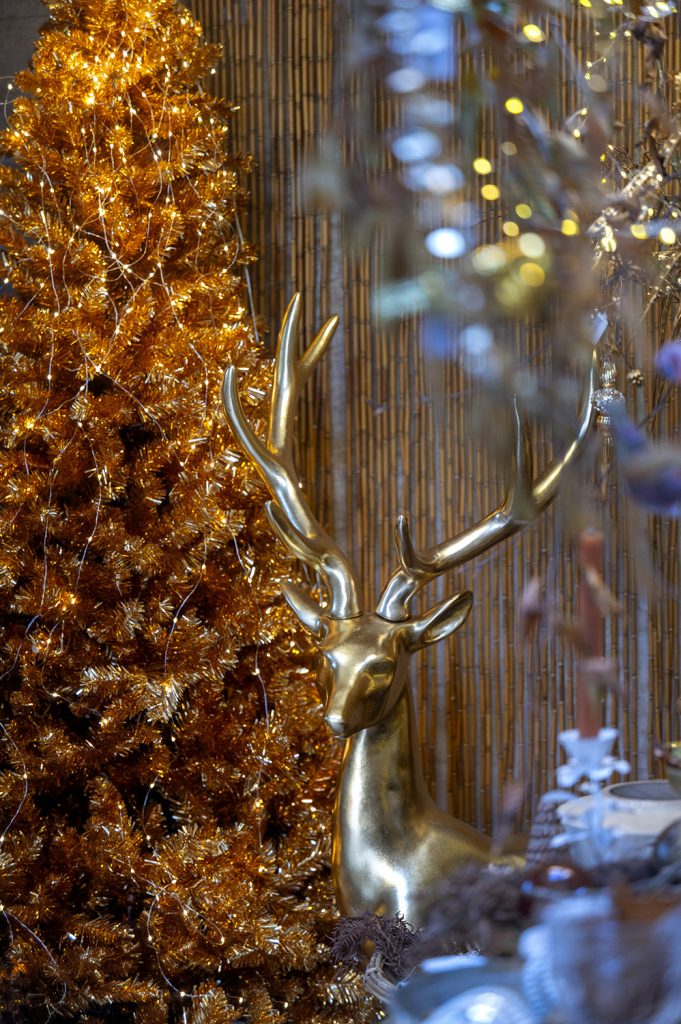 W6 Garden Centre and Café, Garden Centre, W6 Café, Hammersmith Garden Centre, Hammersmith Cafe, Landscape Gardening, Urban Garden, Urban landscape Garden, Christmas Gifts, Christmas Toys, Christmas Presents, Hammersmith Popup