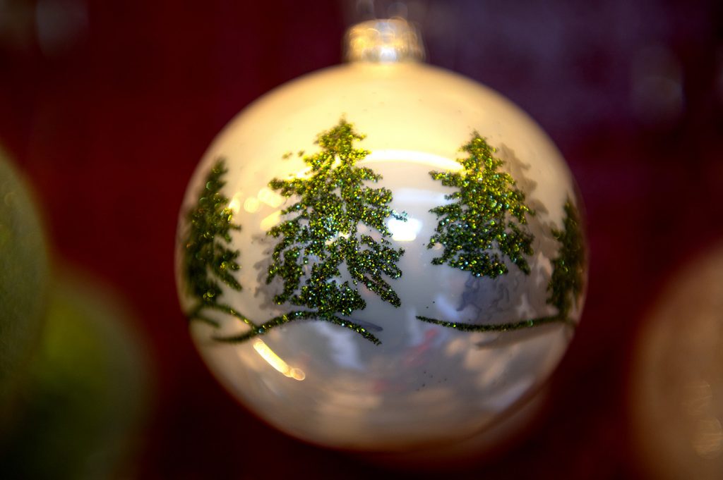 W6 Garden Centre and Café, Garden Centre, W6 Café, Hammersmith Garden Centre, Hammersmith Cafe, Landscape Gardening, Urban Garden, Urban landscape Garden, Christmas Gifts, Christmas Toys, Christmas Presents, Hammersmith Popup