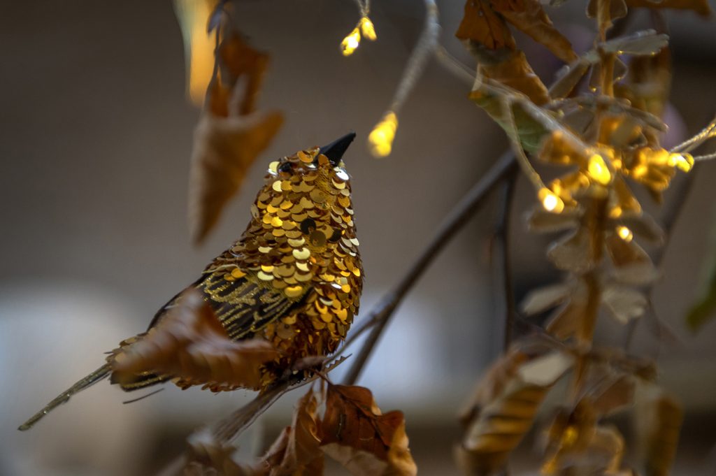 W6 Garden Centre and Café, Garden Centre, W6 Café, Hammersmith Garden Centre, Hammersmith Cafe, Landscape Gardening, Urban Garden, Urban landscape Garden, Christmas Gifts, Christmas Toys, Christmas Presents, Hammersmith Popup