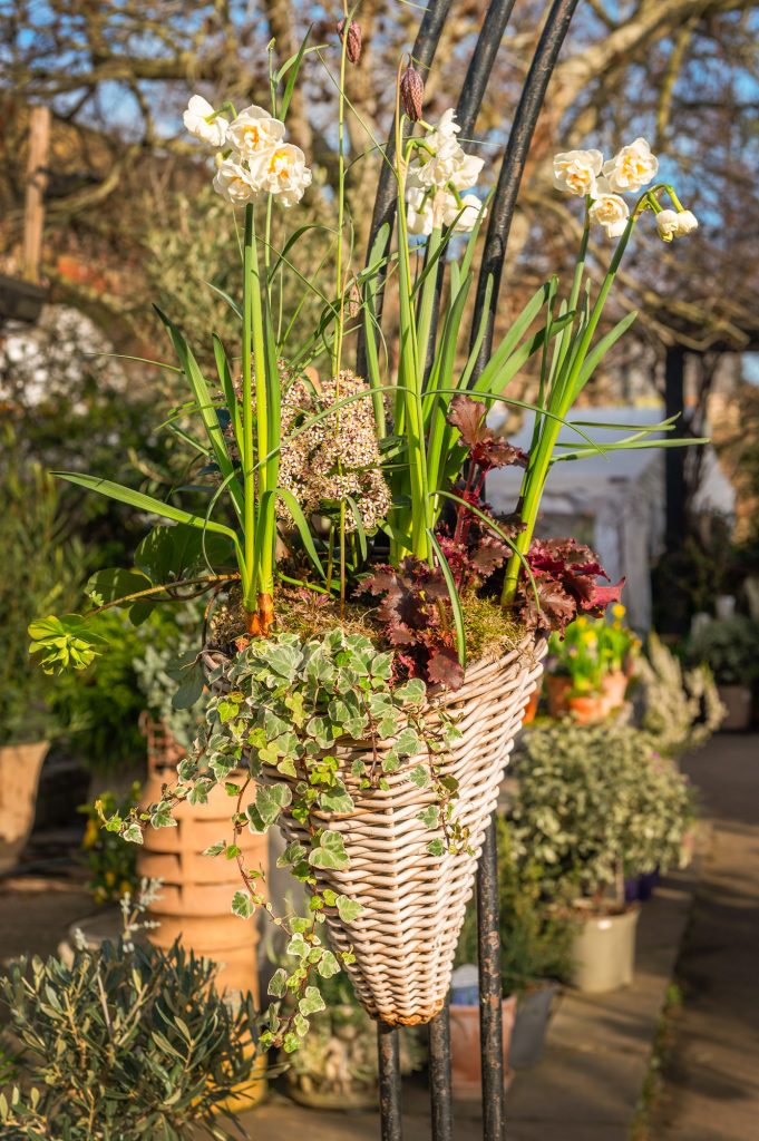 W6 Garden Centre and Café, Garden Centre, W6 Café, Hammersmith Plants, Hammersmith Garden Centre, Hammersmith Cafe, Landscape Gardening, Urban Garden, Urban landscape Garden