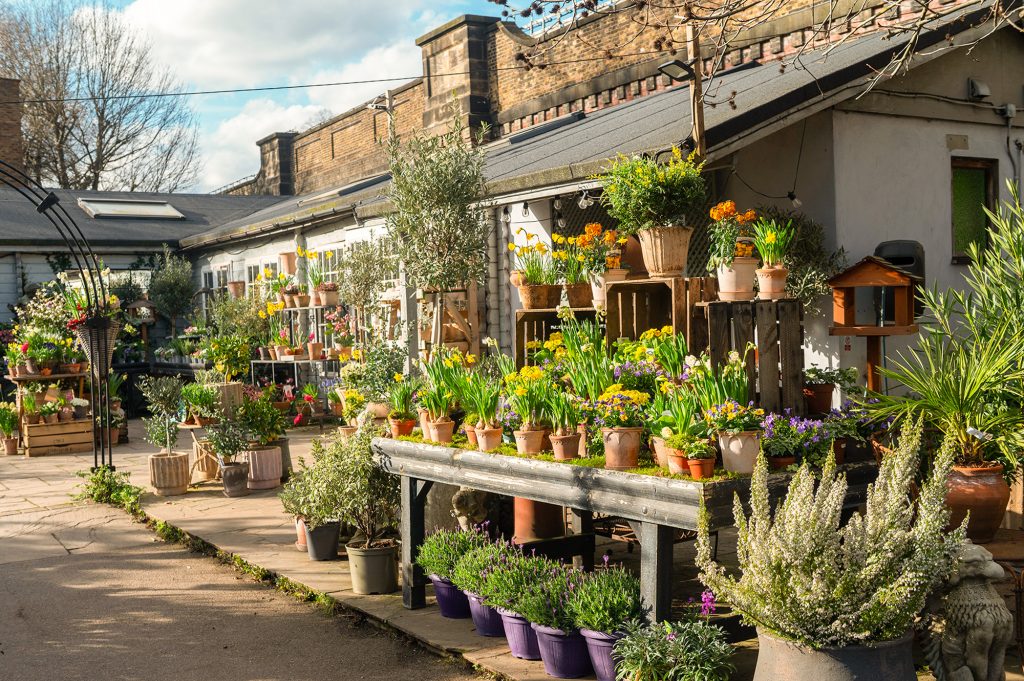W6 Garden Centre and Café, Garden Centre, W6 Café, Hammersmith Plants, Hammersmith Garden Centre, Hammersmith Cafe, Landscape Gardening, Urban Garden, Urban landscape Garden