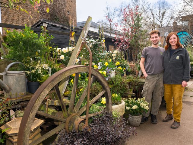 W6 Garden Centre and Café: Lifting The Spirits