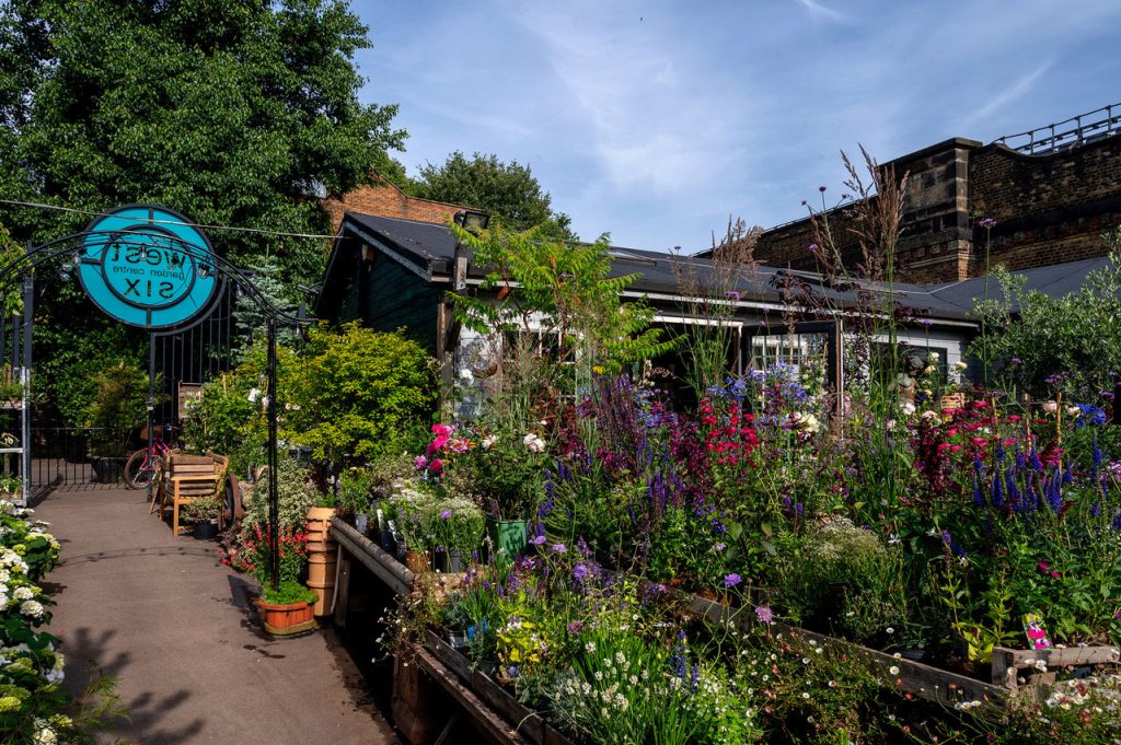 W6 Garden Centre and Cafe