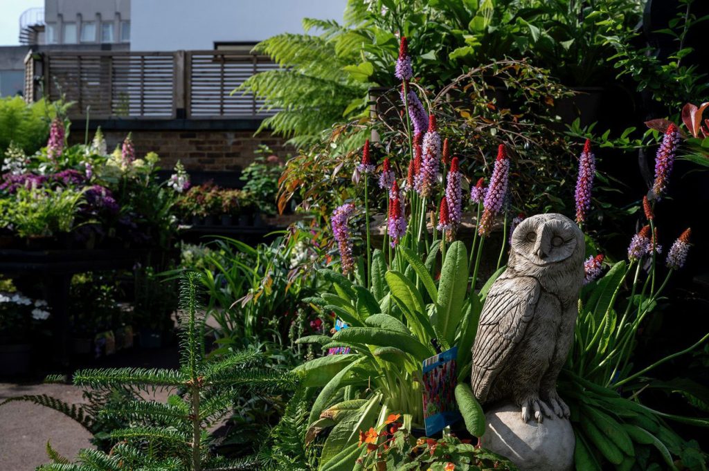 W6 Garden Centre and Cafe