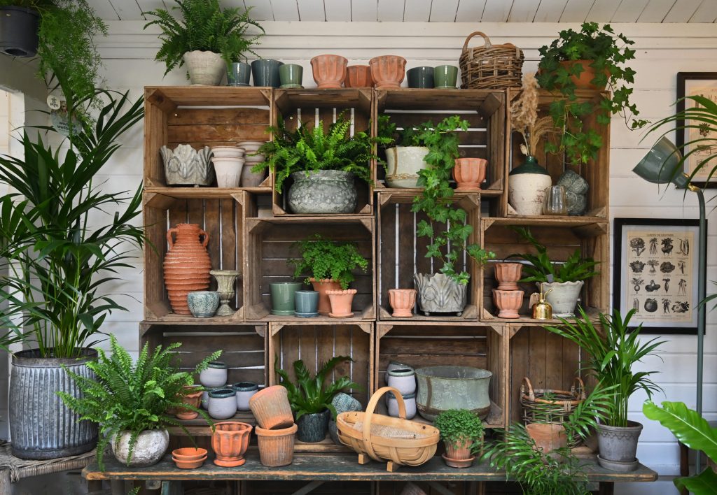W6 Garden Centre and Café, Garden Centre, W6 Café, Hammersmith Plants, Hammersmith Garden Centre, Hammersmith Cafe, Landscape Gardening, Urban Garden, Urban landscape Garden