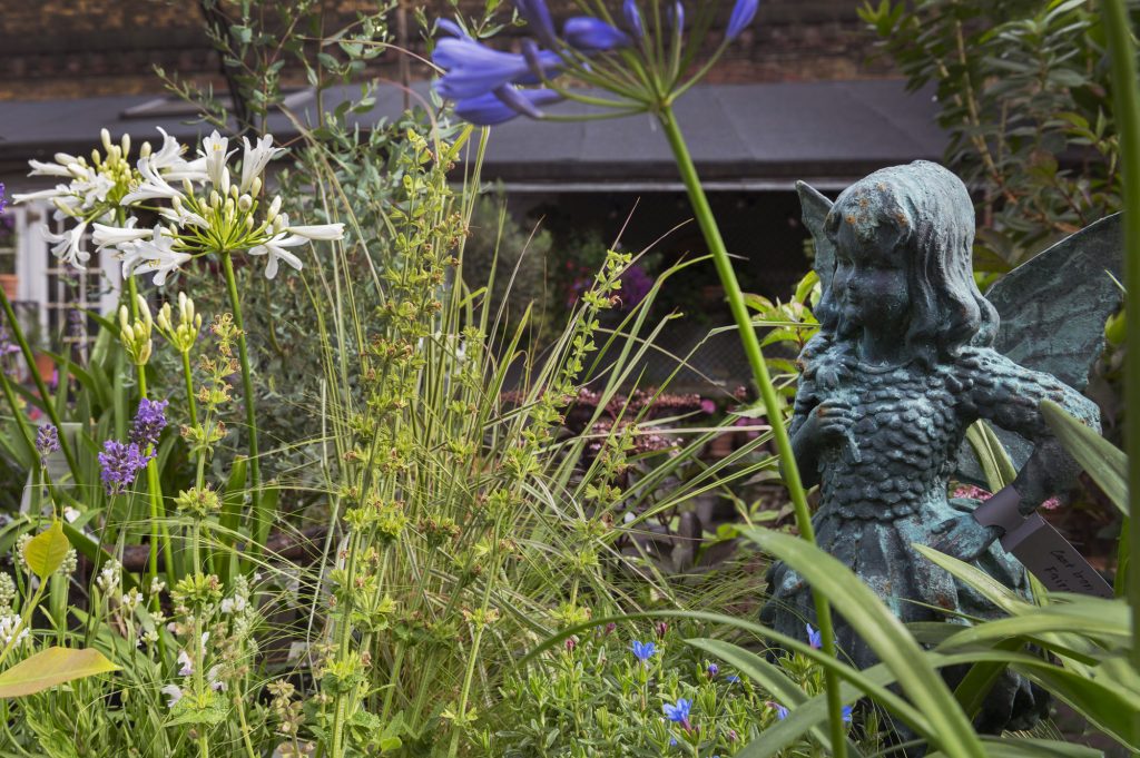 W6 Garden Centre and Café, Garden Centre, W6 Café, Hammersmith Plants, Hammersmith Garden Centre, Hammersmith Cafe, Landscape Gardening, Urban Garden, Urban landscape Garden
