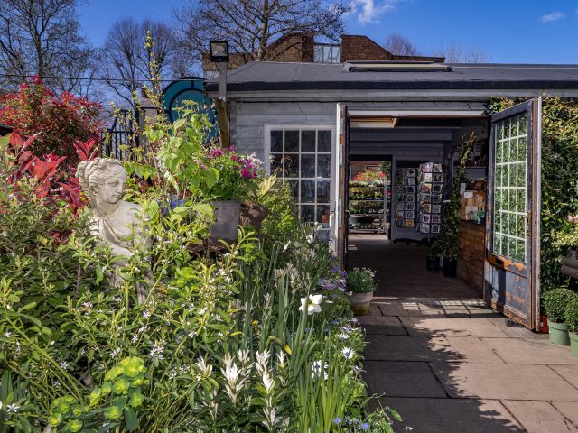 W6 Garden Centre and Café: Spring Is In The Air