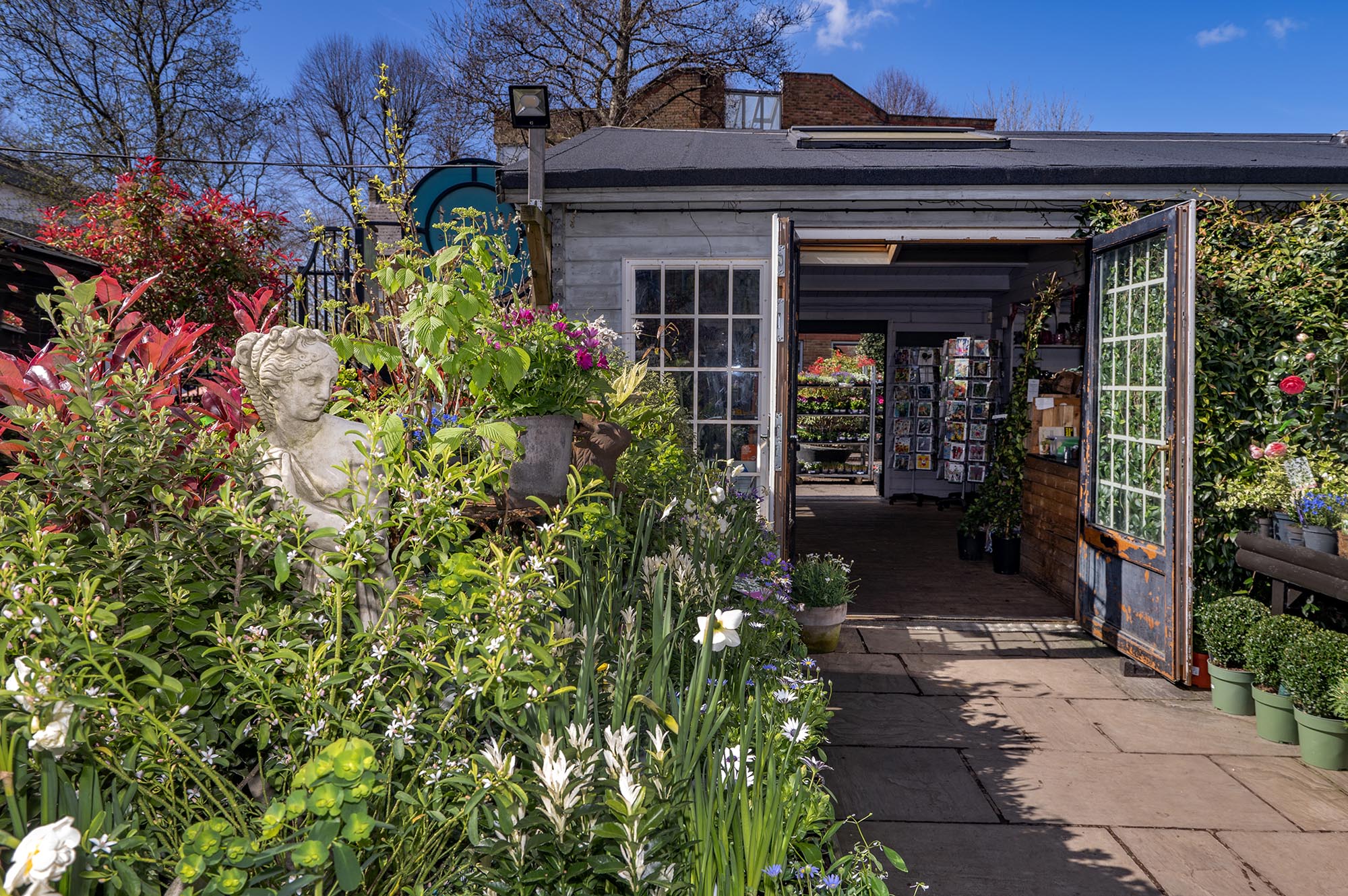 W6 Garden Centre and Café: Spring Is In The Air