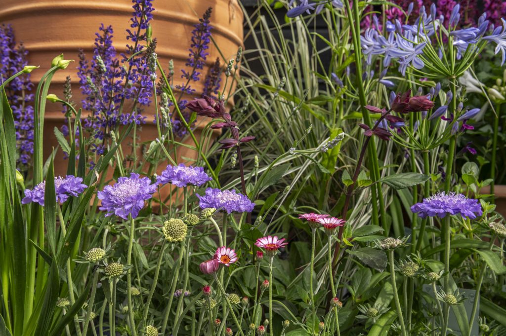 W6 Garden Centre and Café, Garden Centre, W6 Café, Hammersmith Plants, Hammersmith Garden Centre, Hammersmith Cafe, Landscape Gardening, Urban Garden, Urban landscape Garden