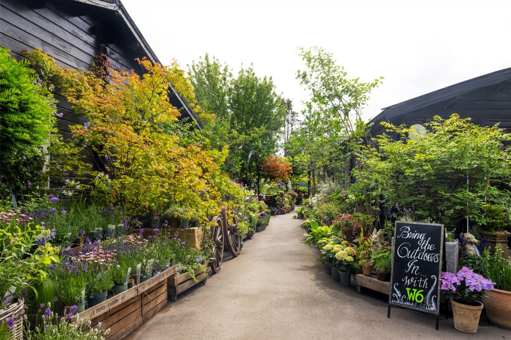 W6 Garden Centre and Café, Garden Centre, W6 Café, Hammersmith Plants, Hammersmith Garden Centre, Hammersmith Cafe, Landscape Gardening, Urban Garden, Urban landscape Garden