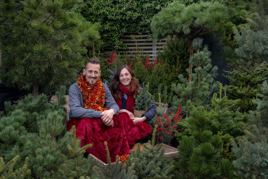 W6 Garden Centre and Café: Enjoy A Magical Green Christmas