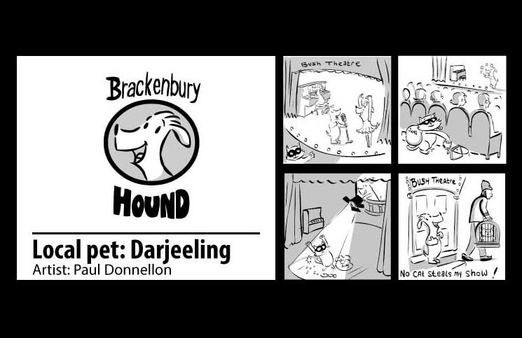 Brackenbury Hound: Darjeeling, cat burglar