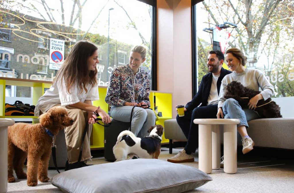 Pawra: Wellness For Wagging Tails