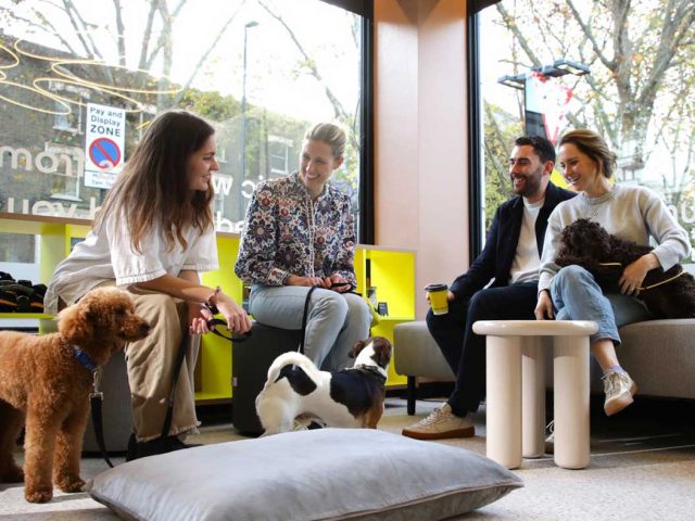 Pawra: Wellness For Wagging Tails